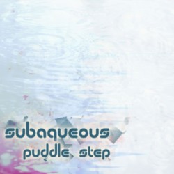 Puddle Step
