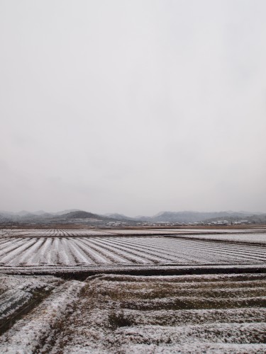 Above the Northern Skies Shown
