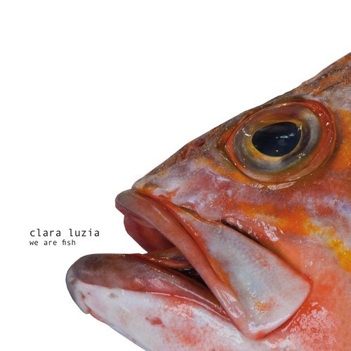 We Are Fish