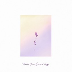 Preen Your Own Wings
