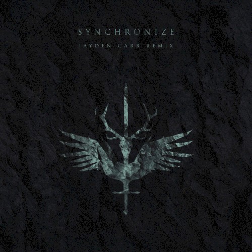 Synchronize (Jayden Carr Remix)