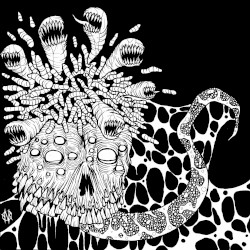 Maggots