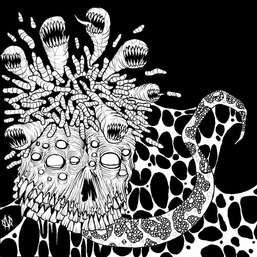 Maggots