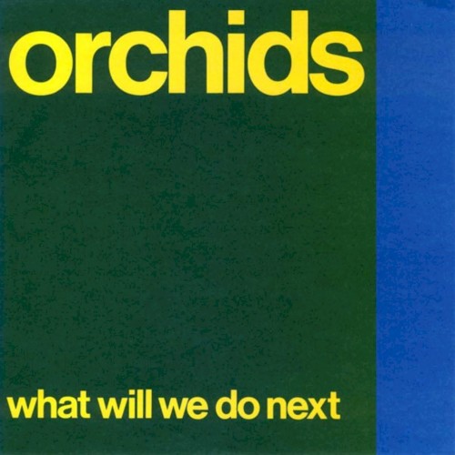 What Will We Do Next?