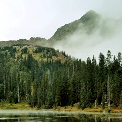 Evergreen Refuge