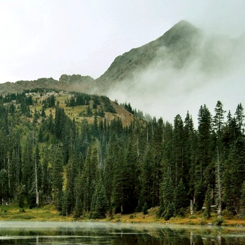 Evergreen Refuge