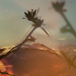 april notes