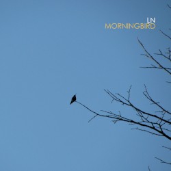 Morningbird
