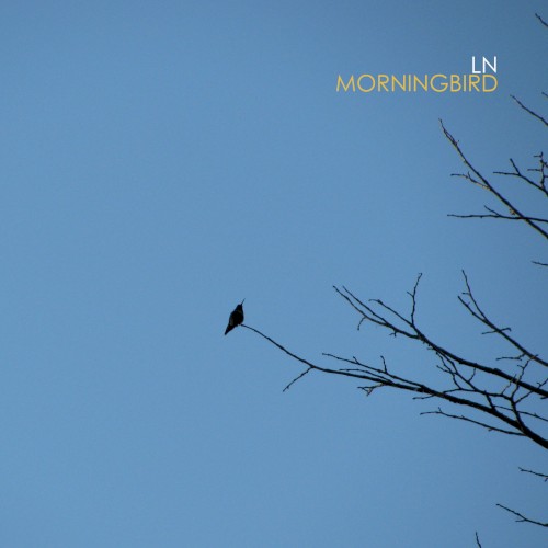 Morningbird
