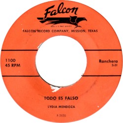 Todo es falso / Pajarito herido
