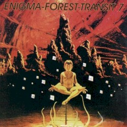 Enigma-Forest-Transit 7