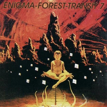 Enigma-Forest-Transit 7