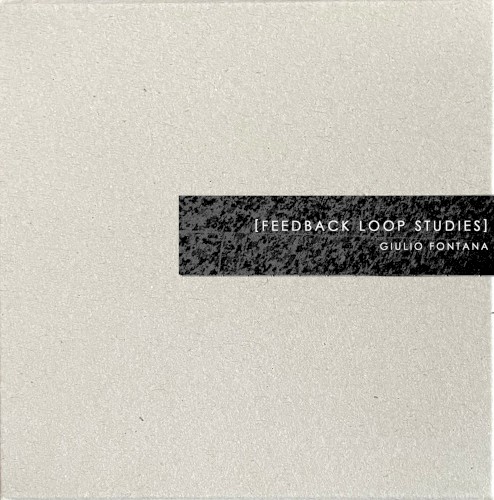 Feedback Loop Studies