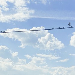 four planes