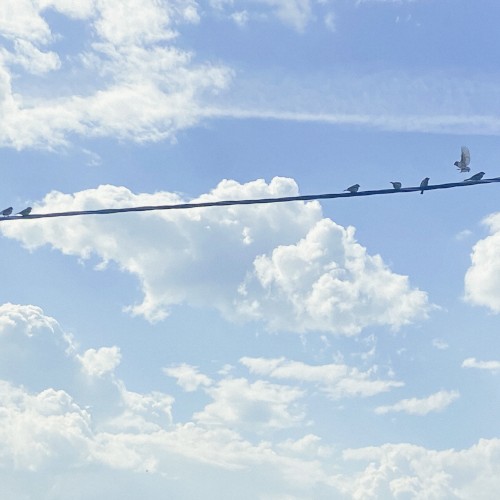 four planes