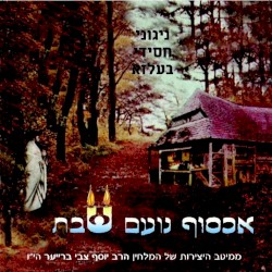 Echsof Noam Shabbos
