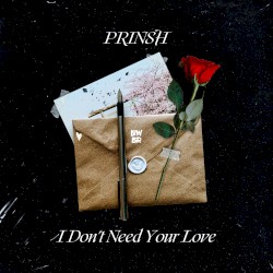 I Don't Need Your Love