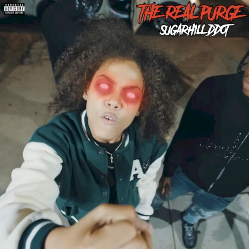 The Real Purge