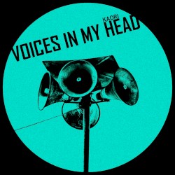 Voices in My Head