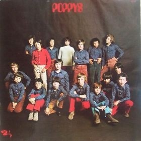 Poppys