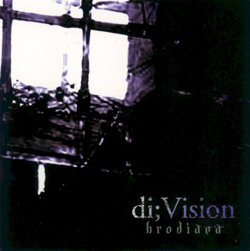 di;Vision