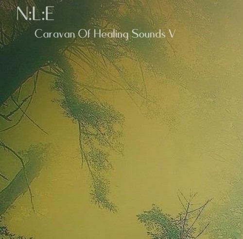 Caravan Of Healing Sounds V