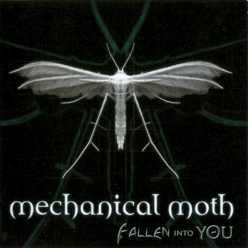 Fallen Into You