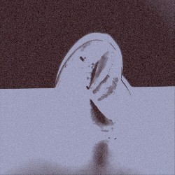 RR01: Tacta