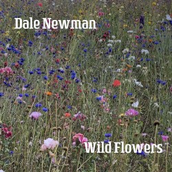 Wild Flowers