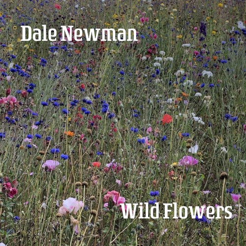 Wild Flowers