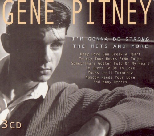 I'm Gonna Be Strong: The Hits and More