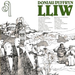 Doniau Dyffryn Lliw