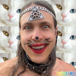 PussyCat Wet