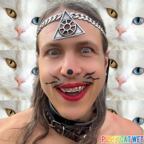 PussyCat Wet
