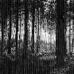 Harmonics