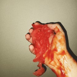 Rot Songs