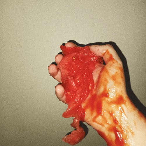 Rot Songs