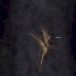 Incandescence