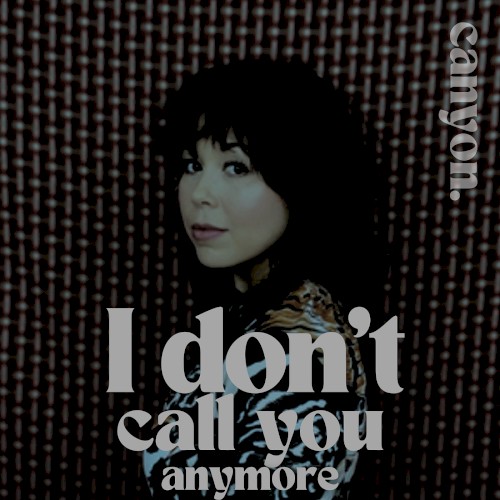 I Don’t Call You Anymore