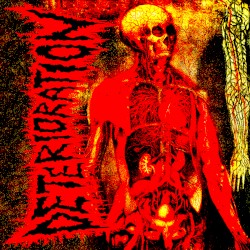 Transcending Human Confines
