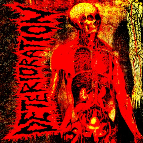 Transcending Human Confines