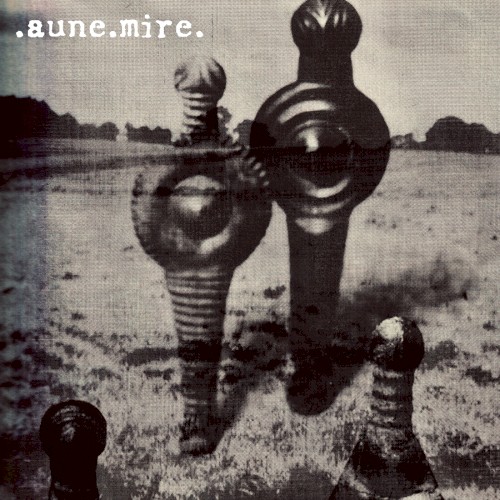 Aune Mire