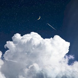 Fly Me to the Moon