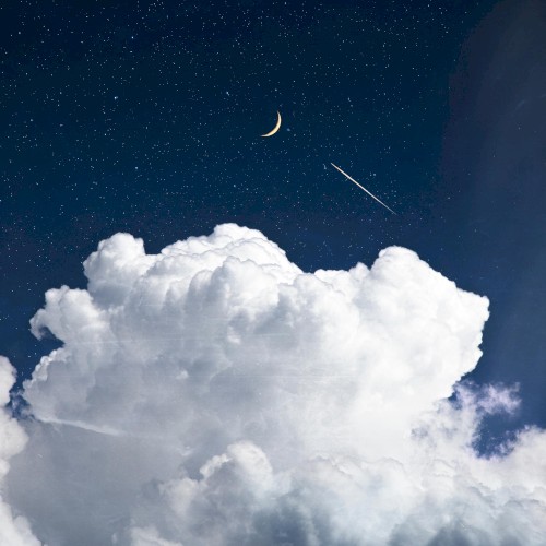 Fly Me to the Moon