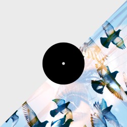 Notion