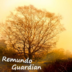 Guardian