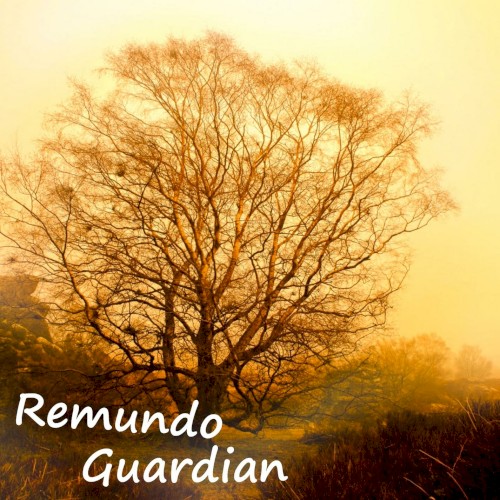 Guardian