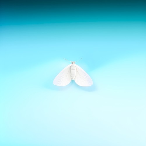Мотылёк