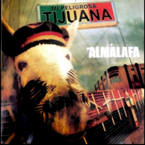 Mi Peligrosa Tijuana