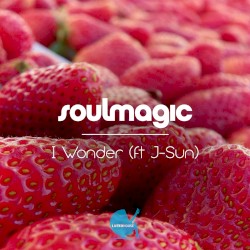 I Wonder (feat. J-Sun)